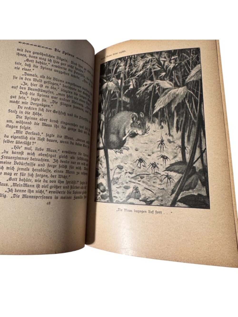 "Mother Nature Tells" By Karl Ewald Hardcover Book German Mutter Natur Erzählt - Picture 7 of 16